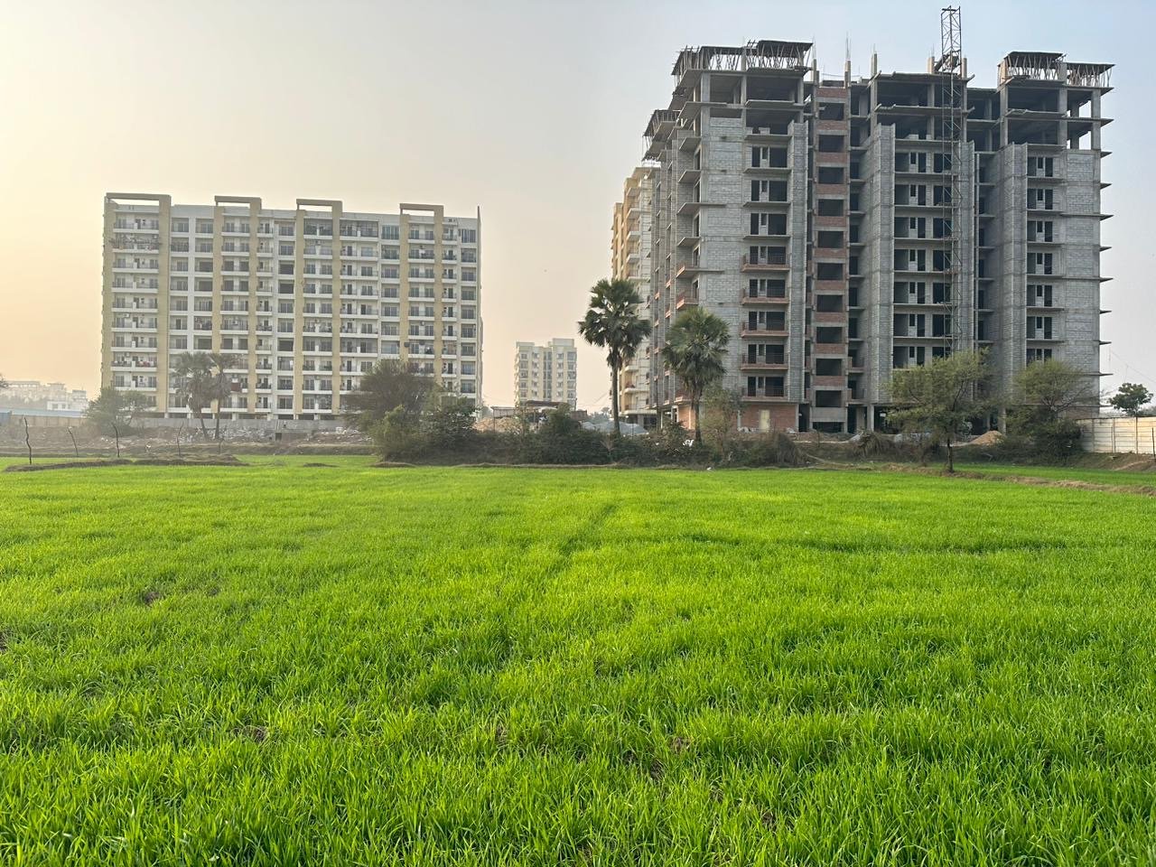 Jeet Homes